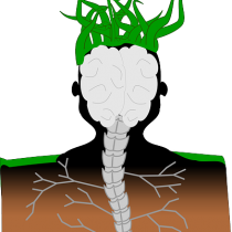 Lupus, CSF Leak, Chiari – Oh MY!